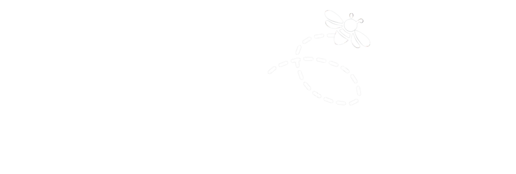 Logo.TechiHive